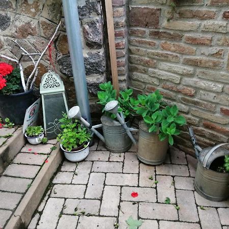 Míves Vendégház Pogány Exterior foto